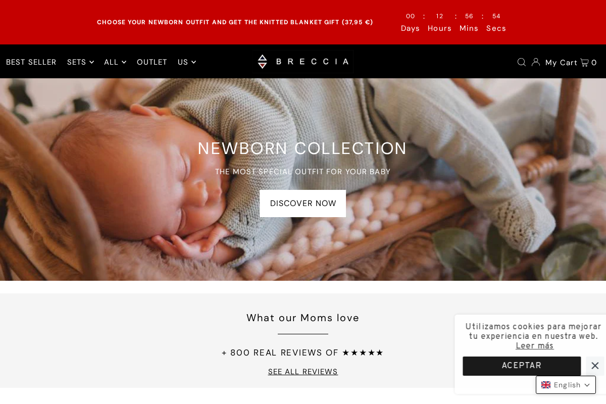 Brecciaindust homepage screenshot