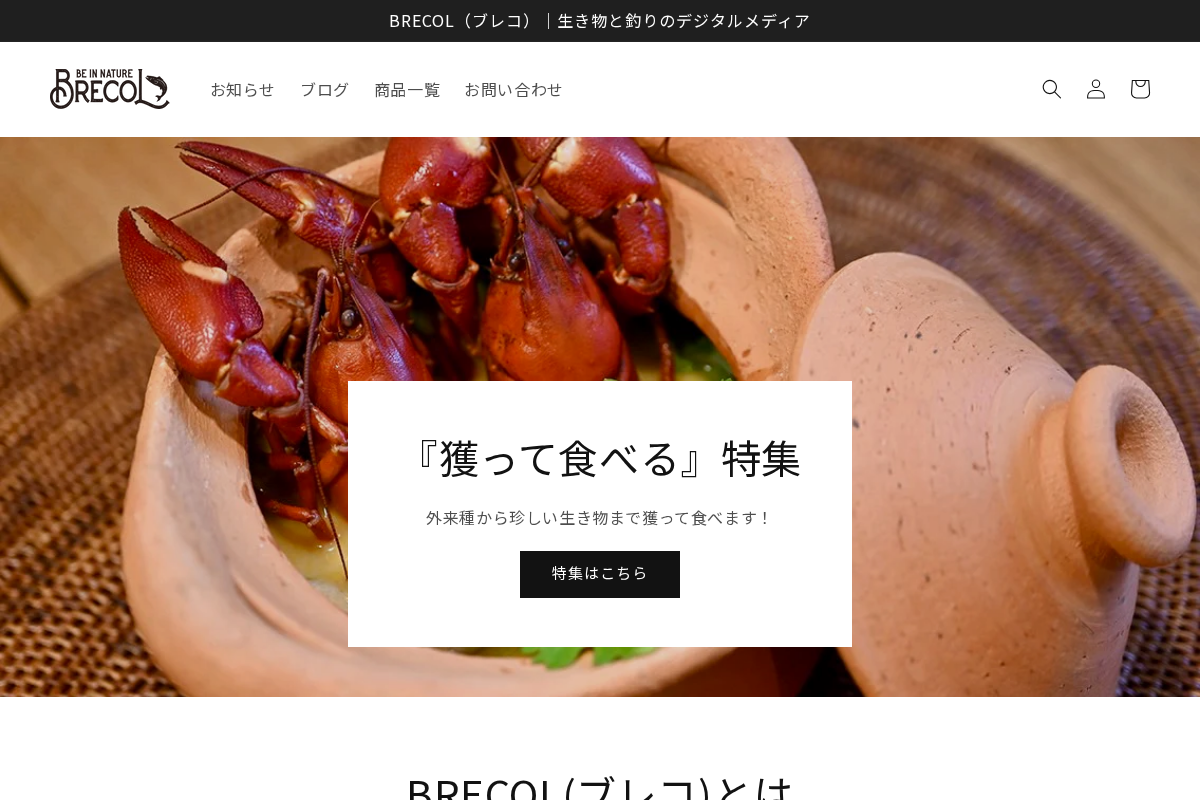 BRECOL homepage screenshot