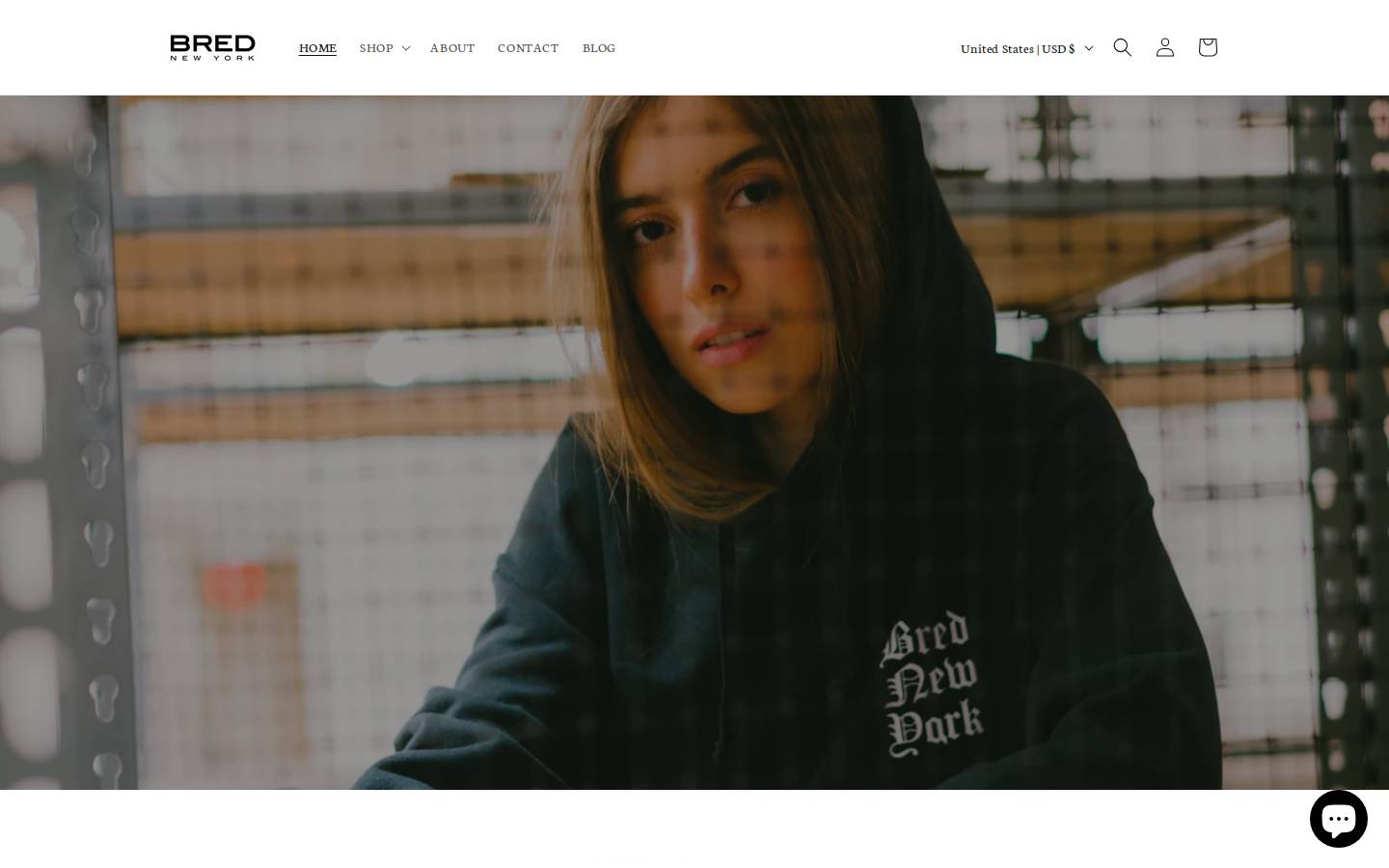 brednyc.com homepage screenshot