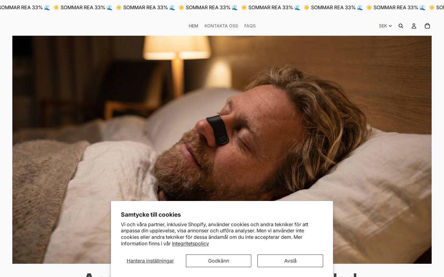 breezego.se homepage screenshot