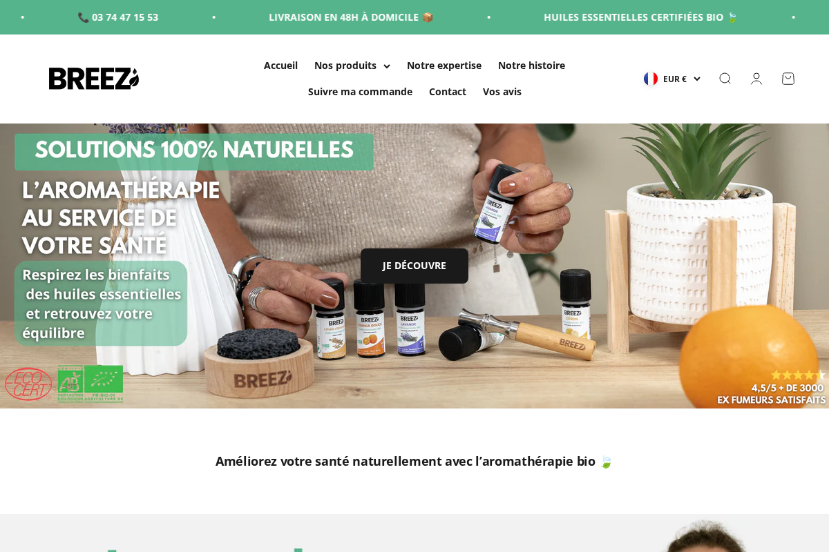 Breezstick homepage screenshot