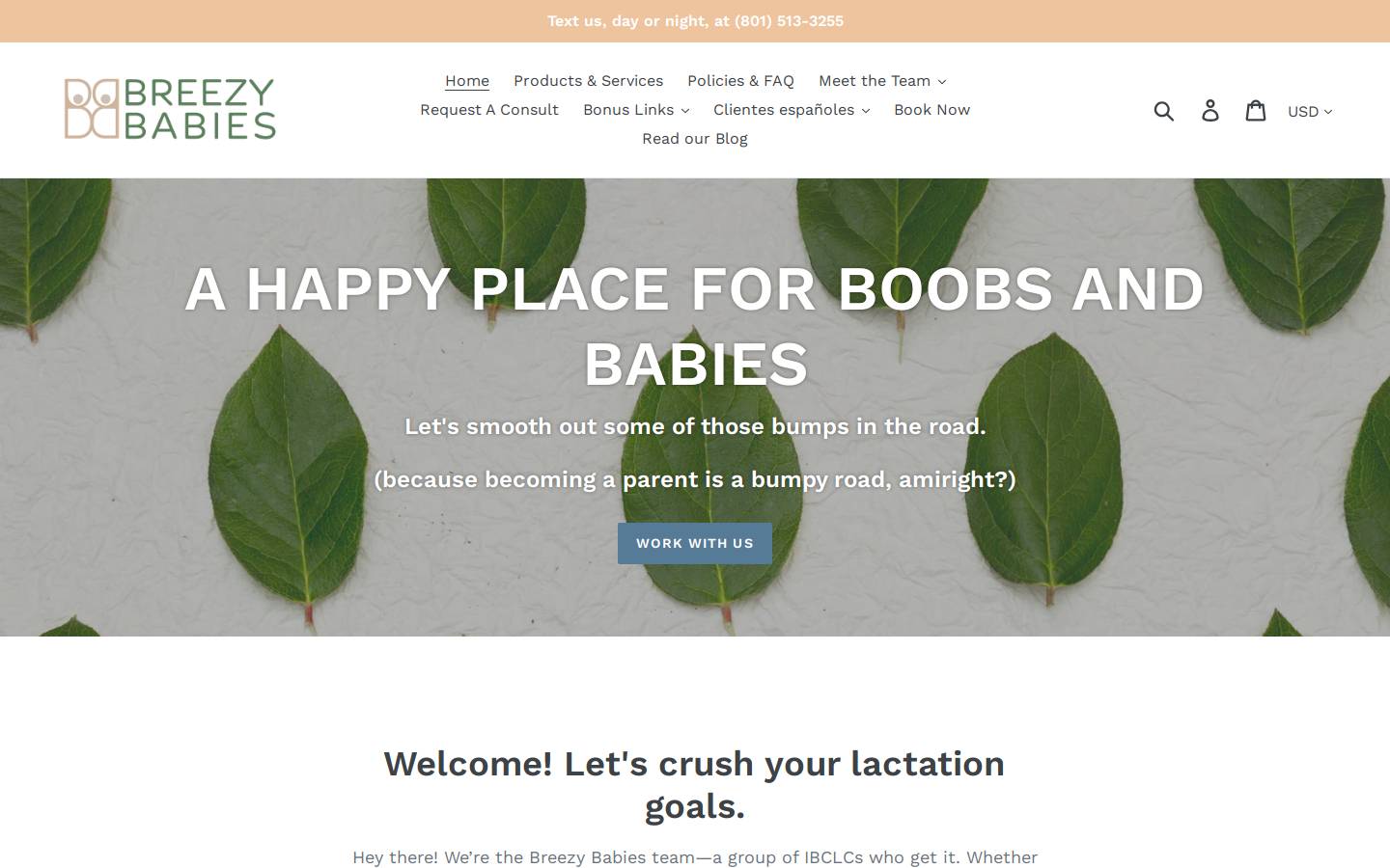 breezybabies.com homepage screenshot