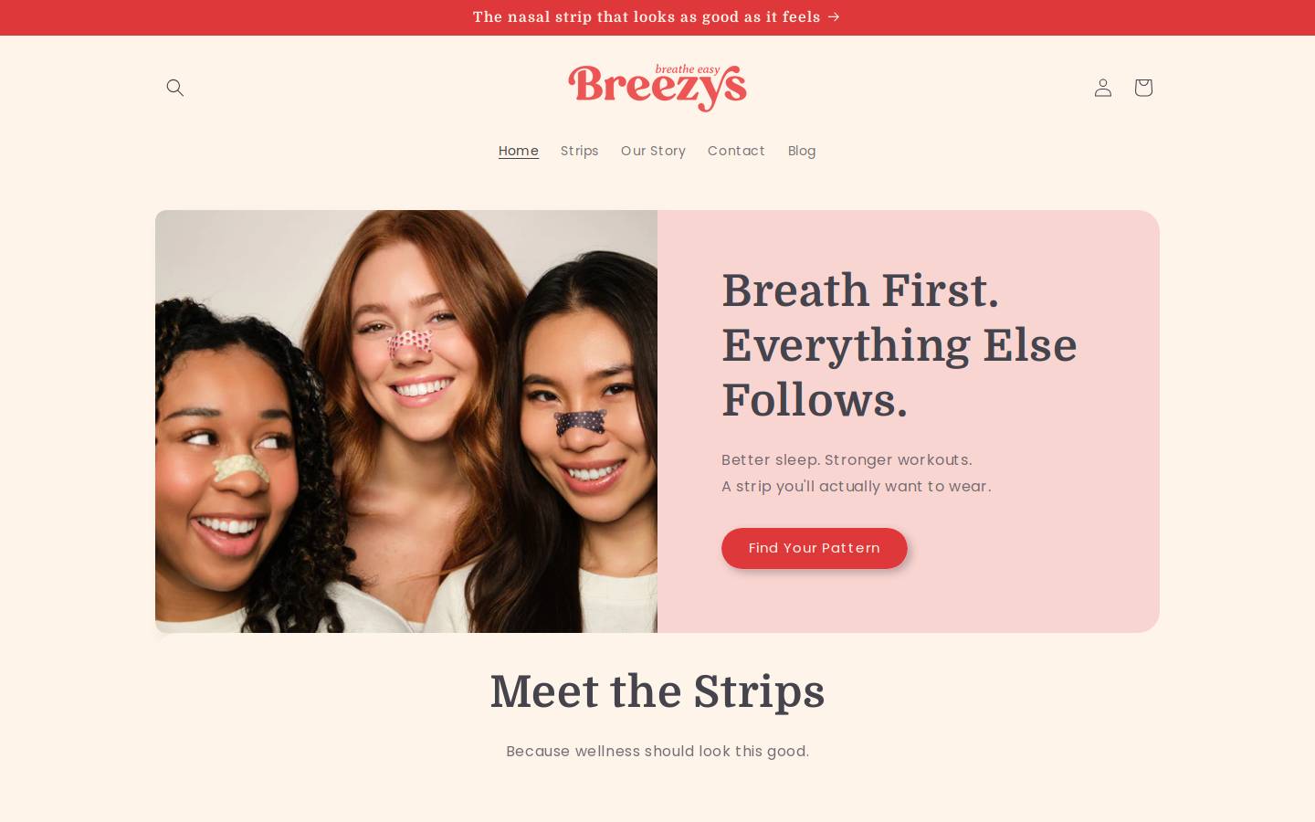 breezystrips.com homepage screenshot