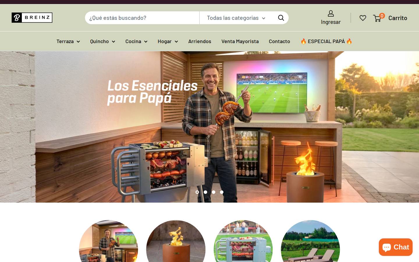 breinz.cl homepage screenshot