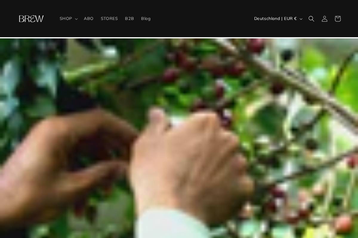 brewroast.de homepage screenshot