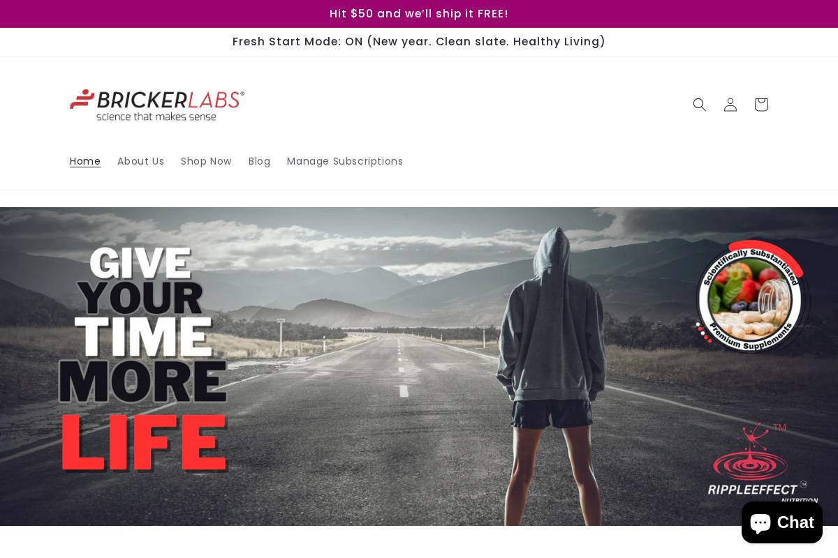brickerlabs.com homepage screenshot