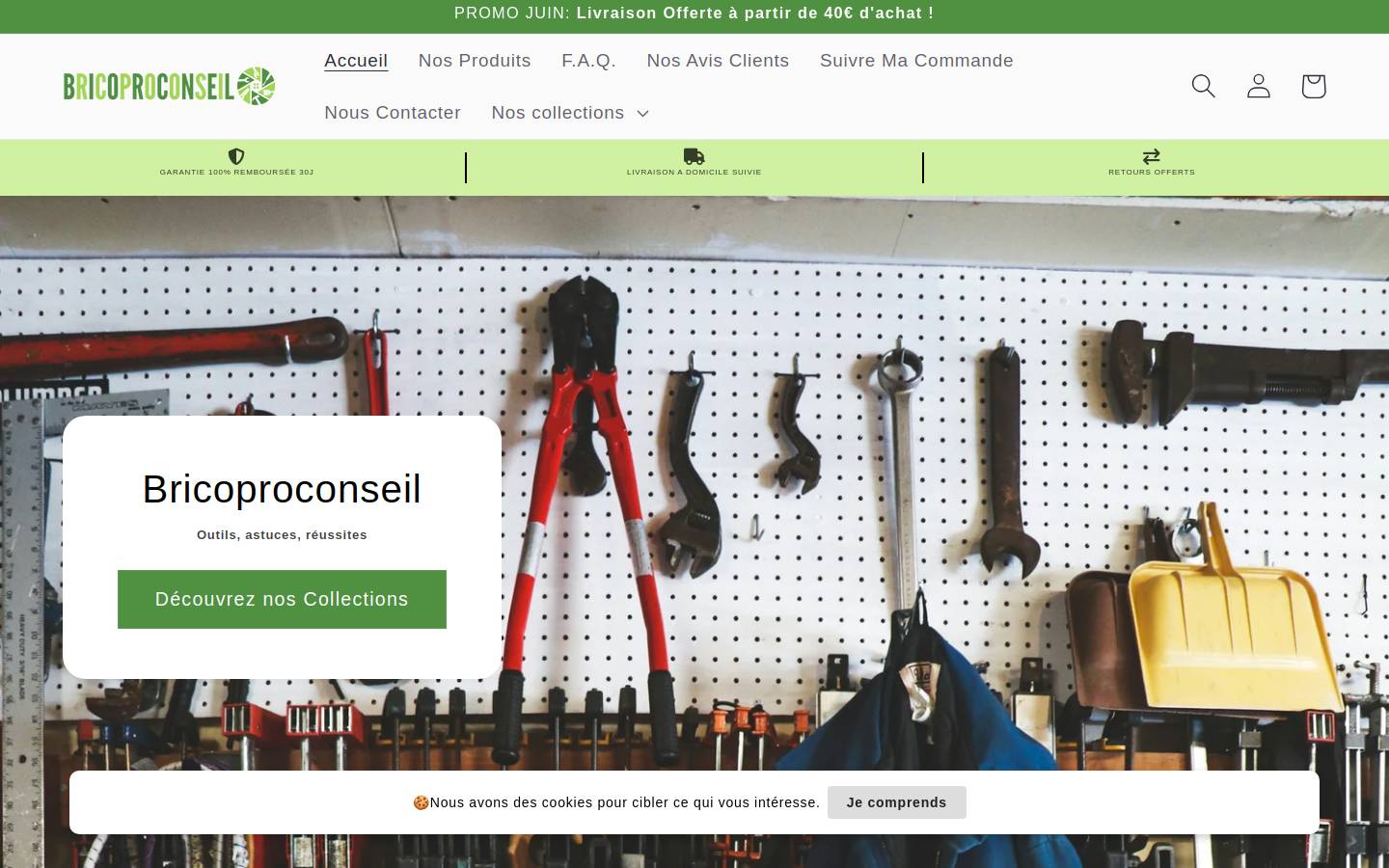bricoproconseil.com homepage screenshot