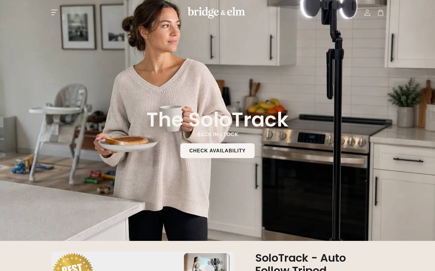 bridgeandelm.com homepage screenshot