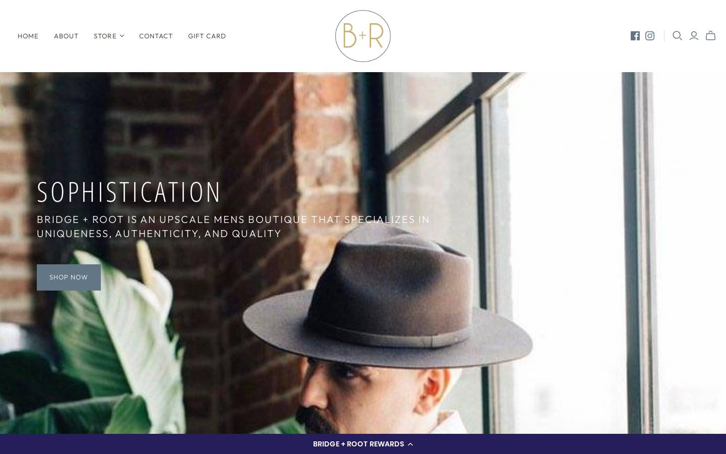 bridgeandroot.com homepage screenshot