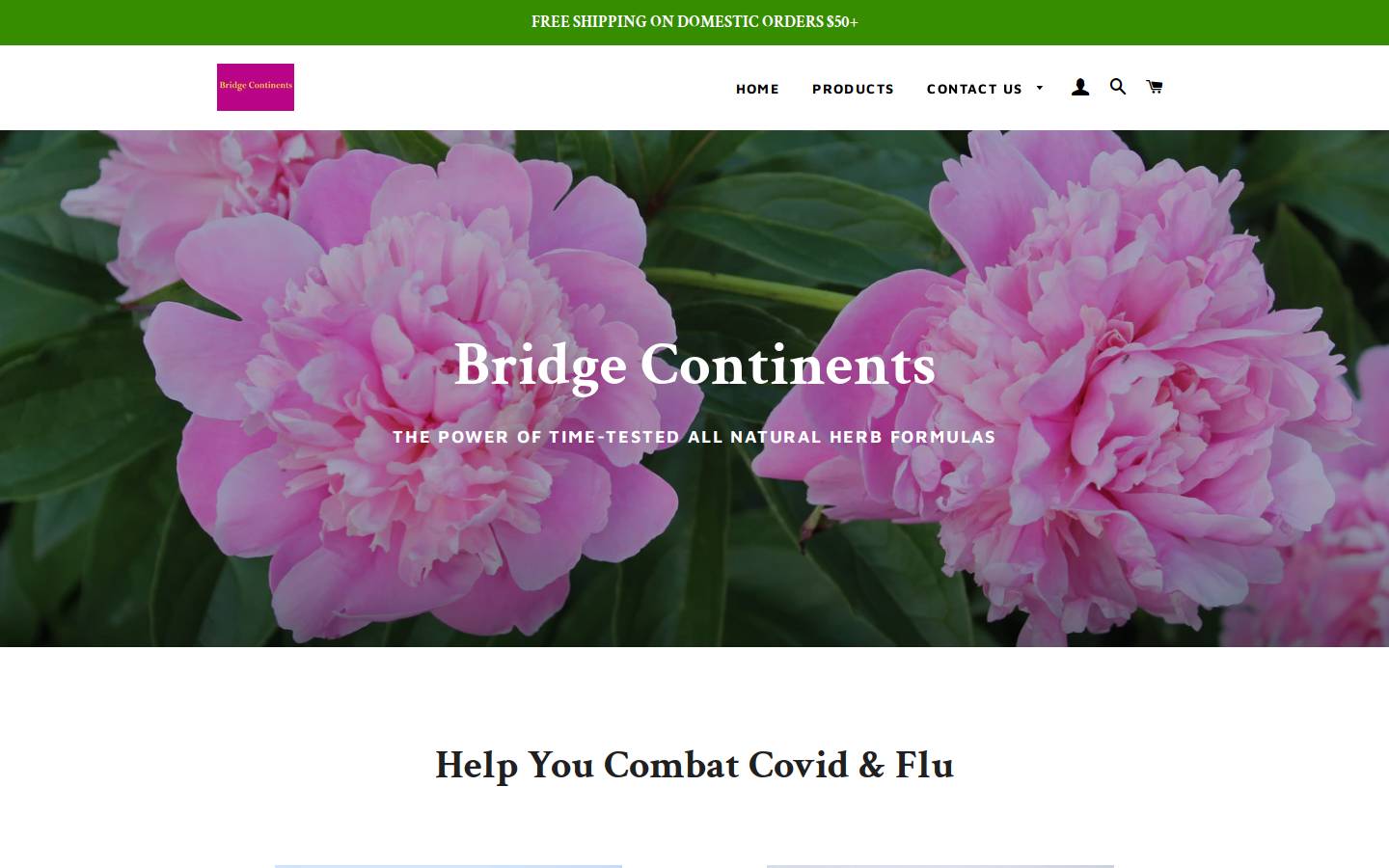 bridgecontinent.com homepage screenshot