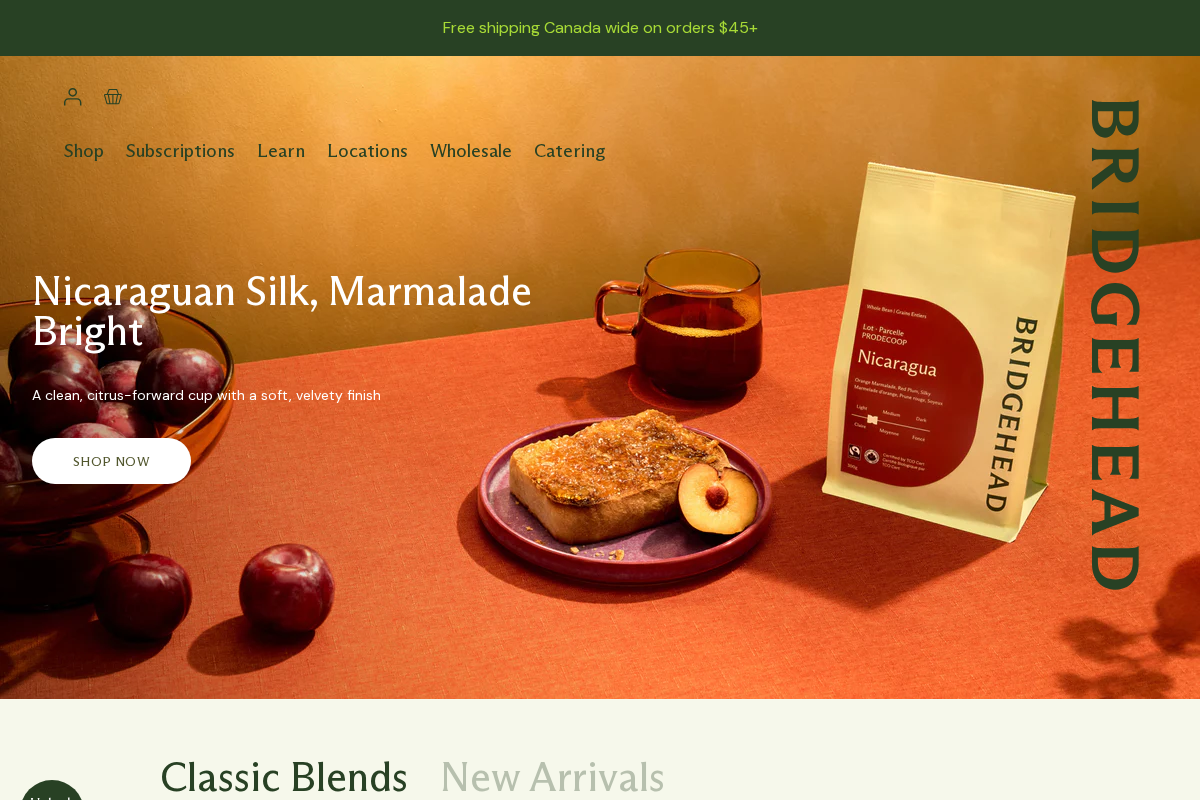 Bridgehead homepage screenshot