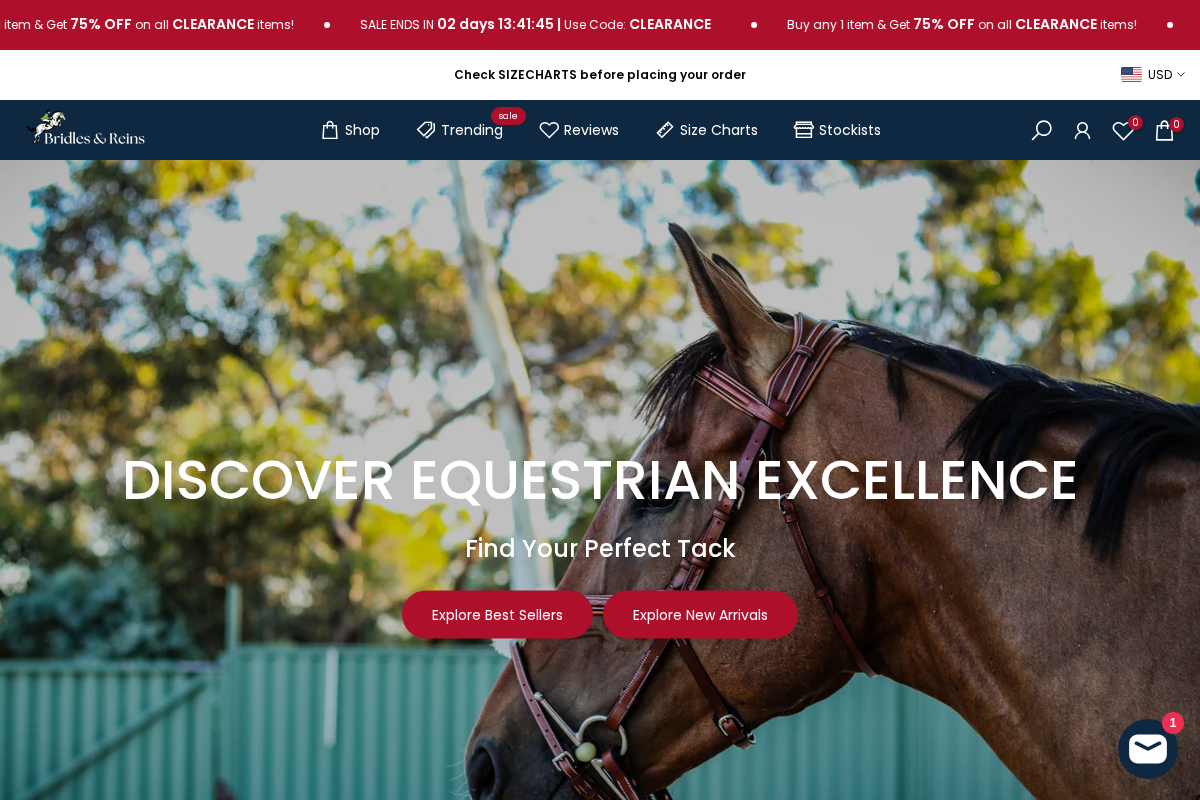 Bridles & Reins homepage screenshot