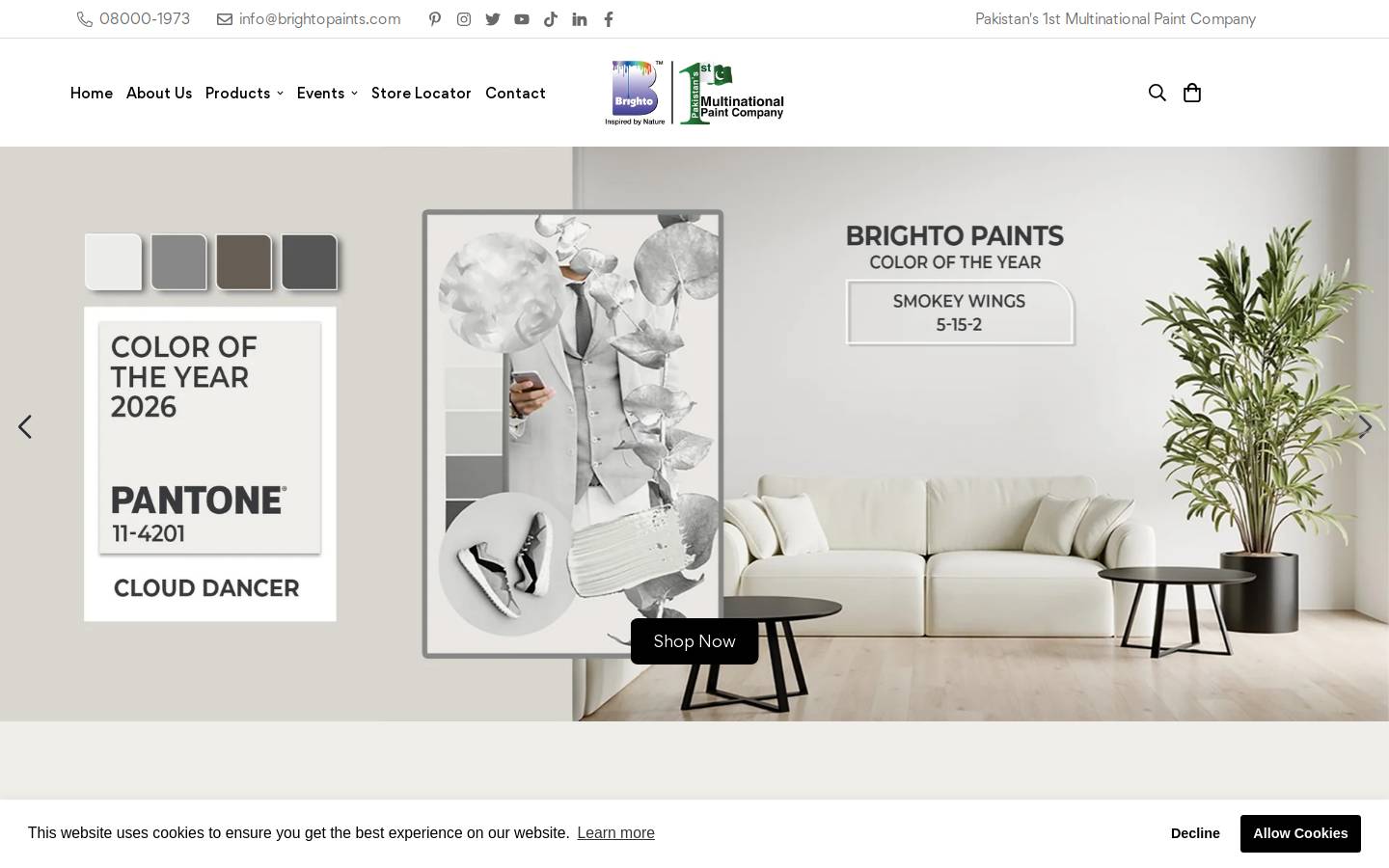 brightopaints.com homepage screenshot