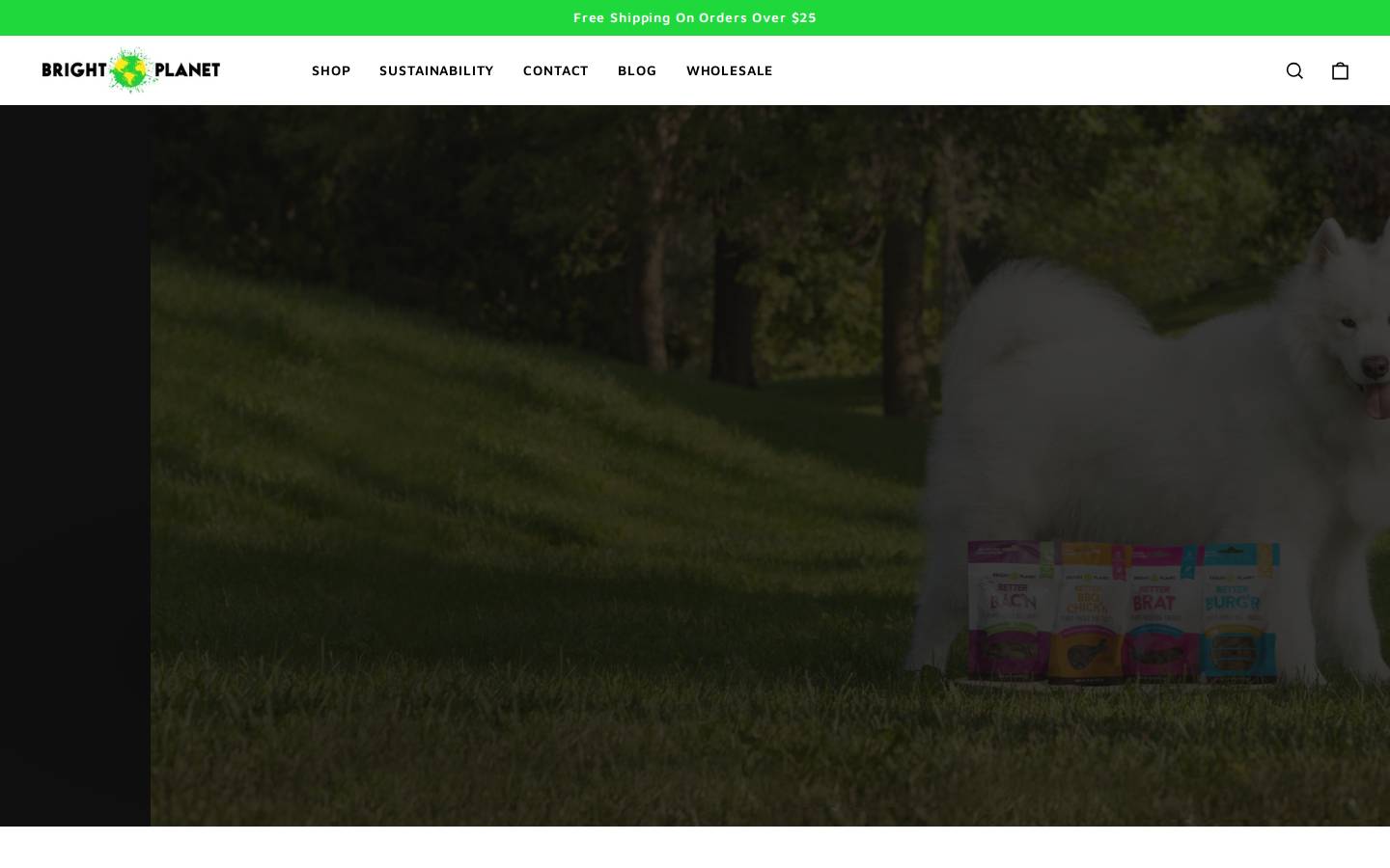 brightplanetpet.com homepage screenshot