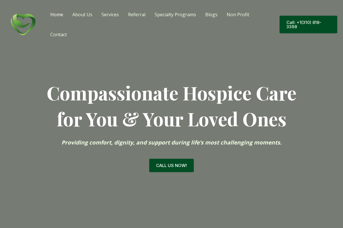 brightsourcehospice.com homepage screenshot