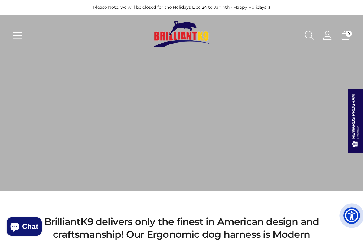 brilliantk9.com homepage screenshot