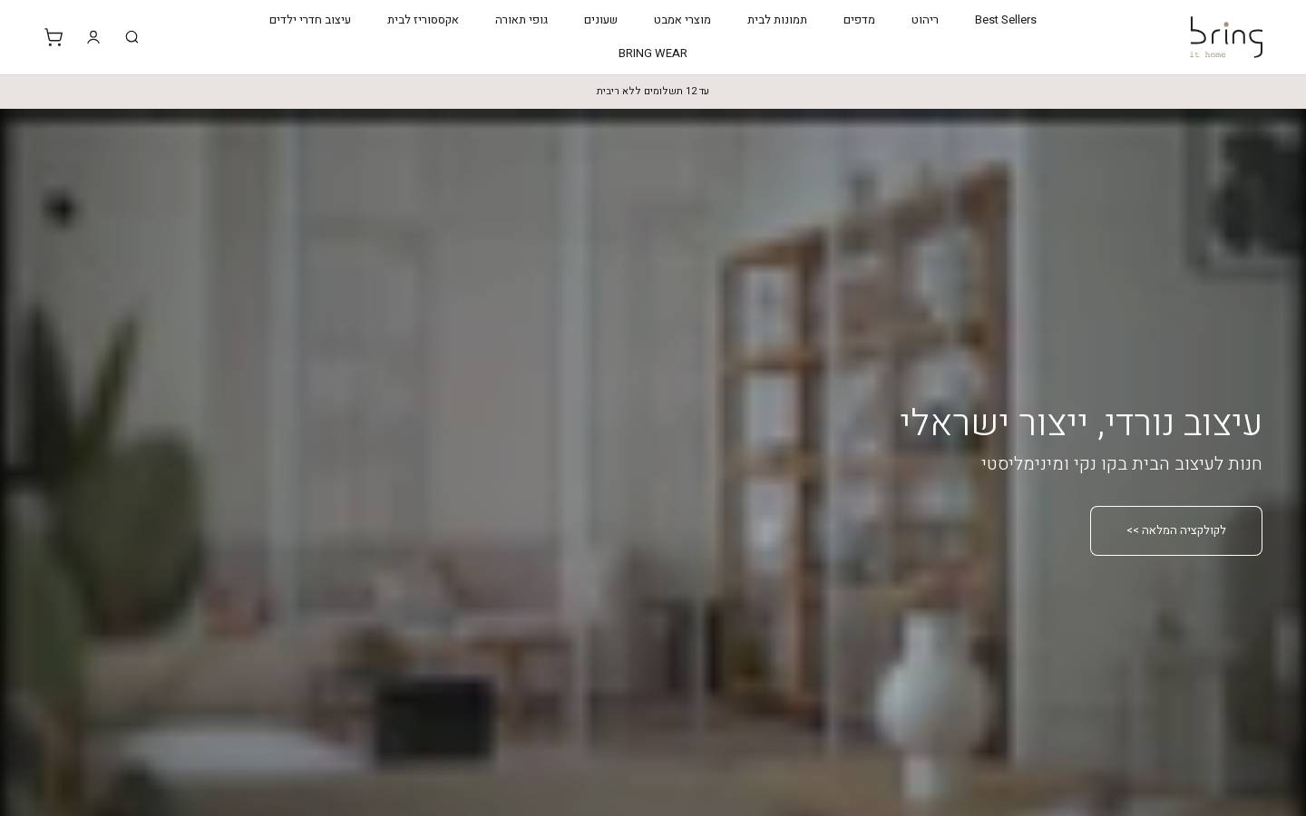 bringithome.co.il homepage screenshot