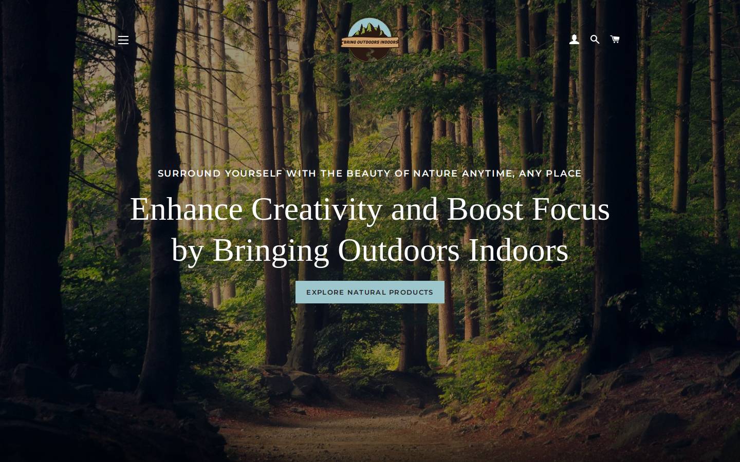 bringoutdoorsindoors.com homepage screenshot