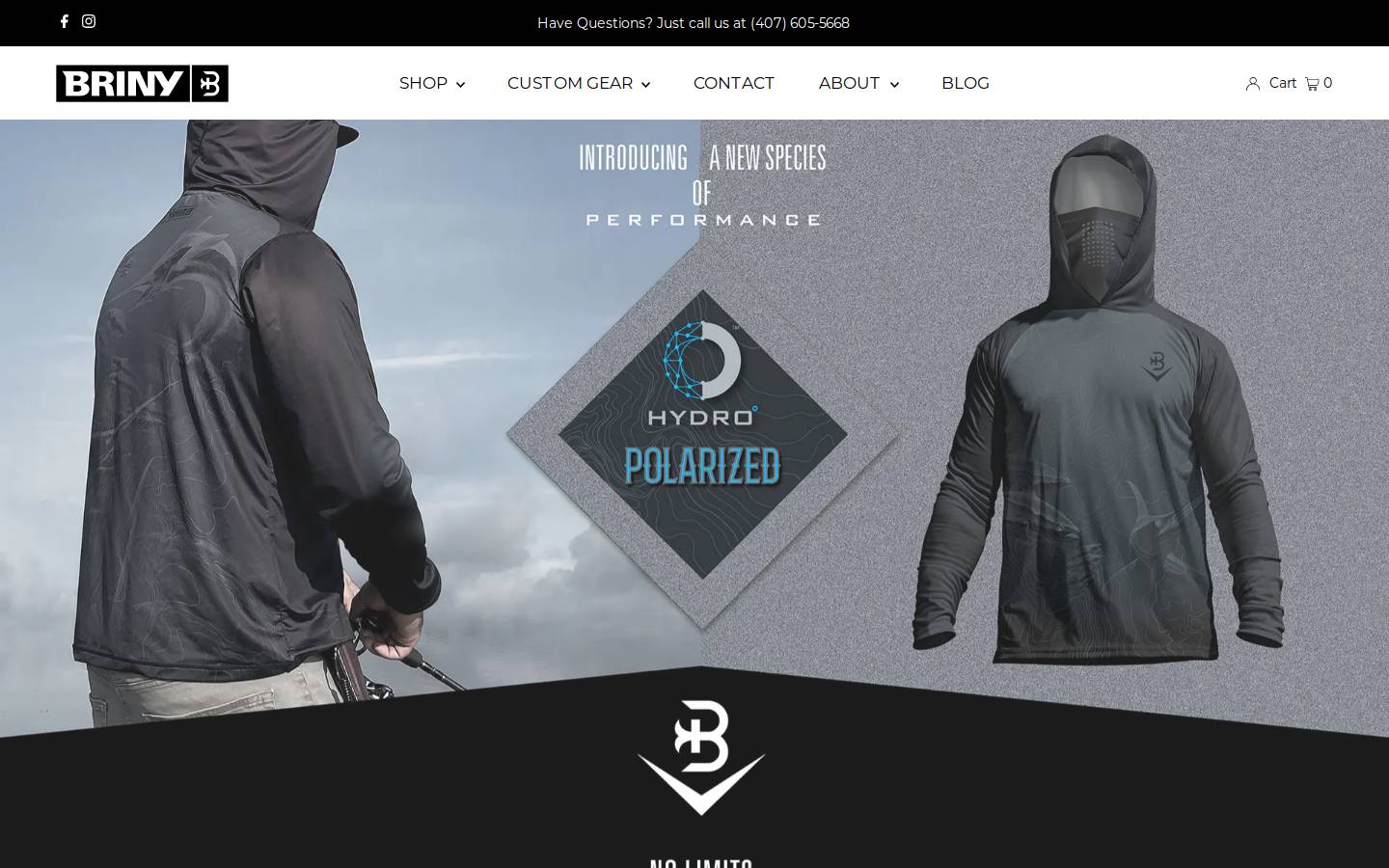 briny.com homepage screenshot