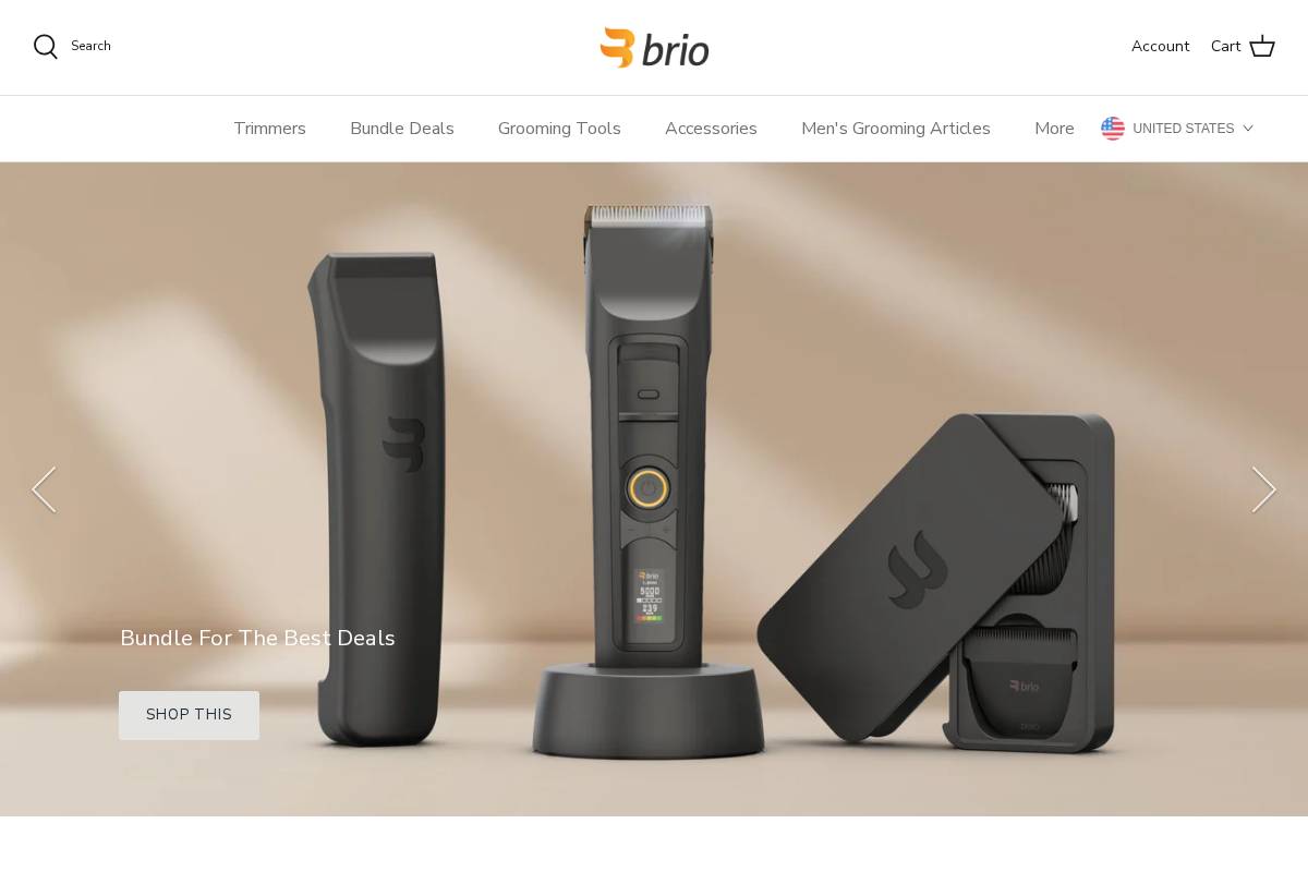 Brio homepage screenshot