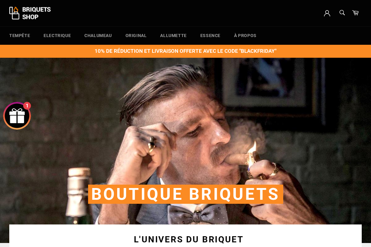 Briquets Shop homepage screenshot