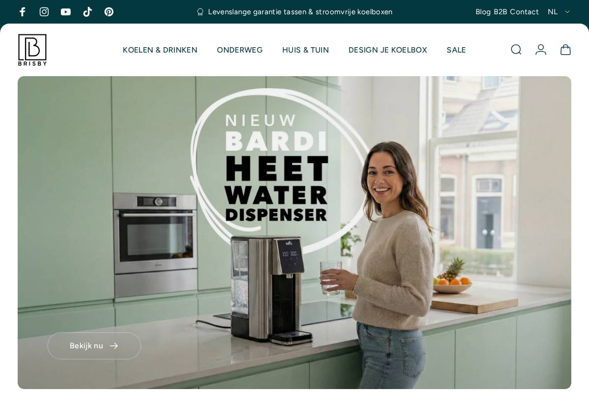 Brisby homepage screenshot