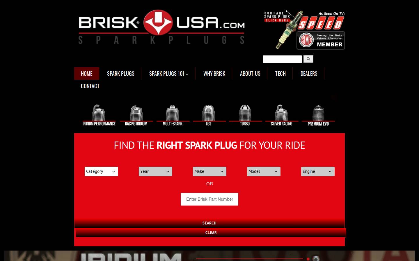 briskusa.com homepage screenshot