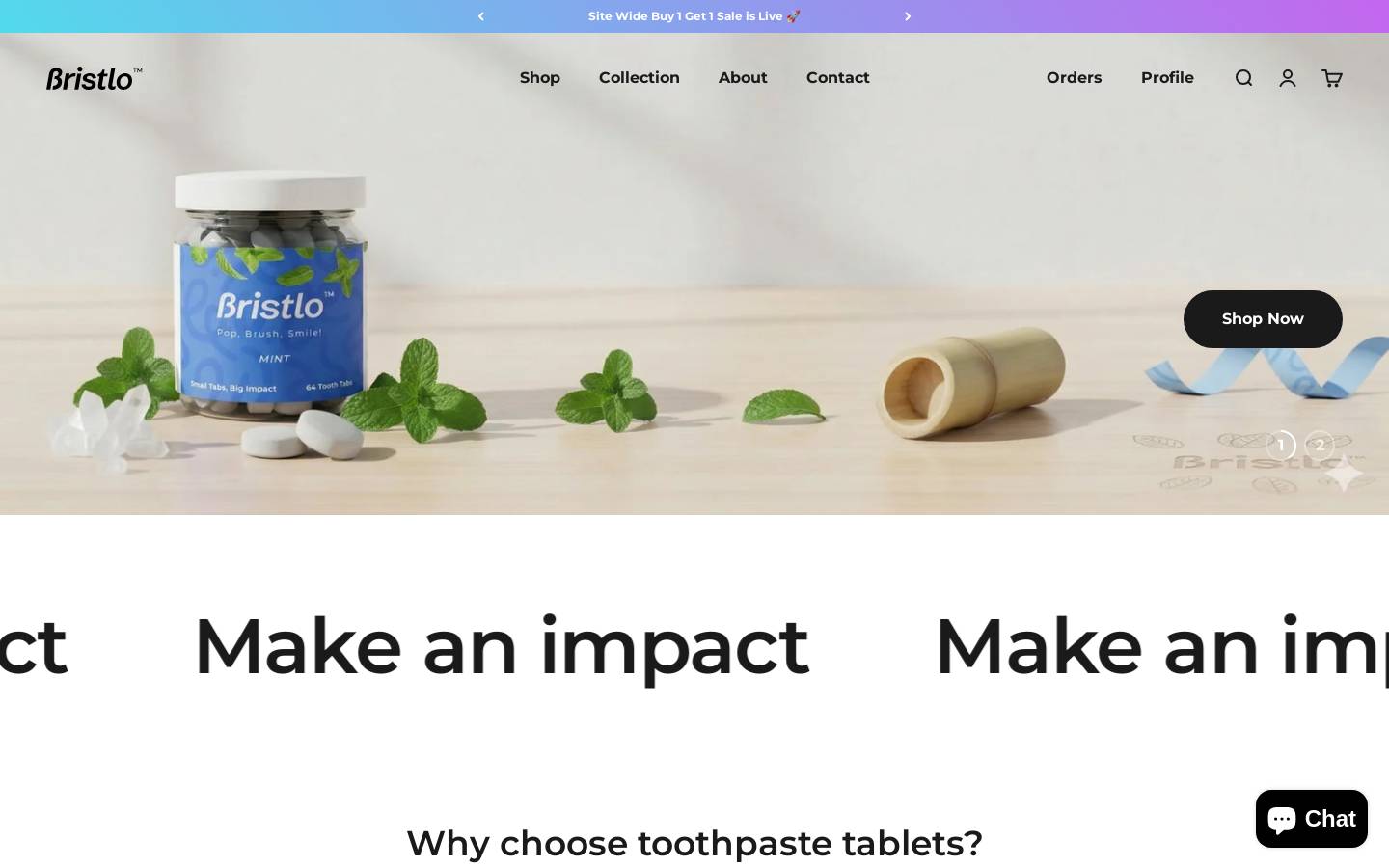 bristlo.com homepage screenshot