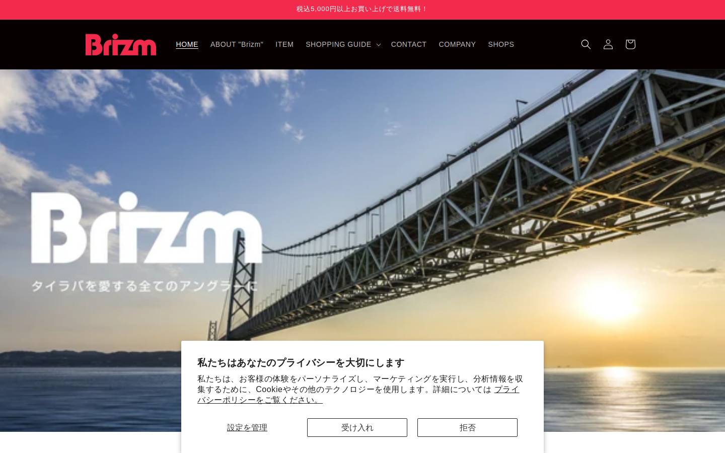 brizm.net homepage screenshot