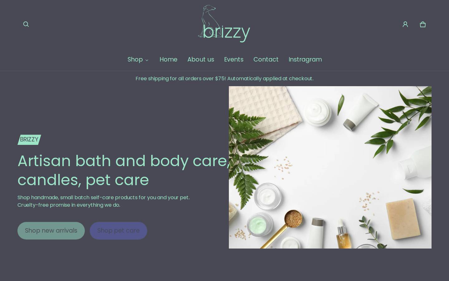 brizzyproducts.com homepage screenshot