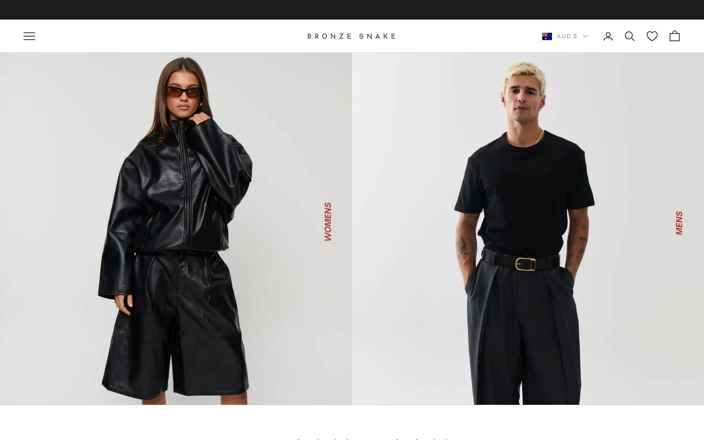 BRONZE SNAKE homepage screenshot