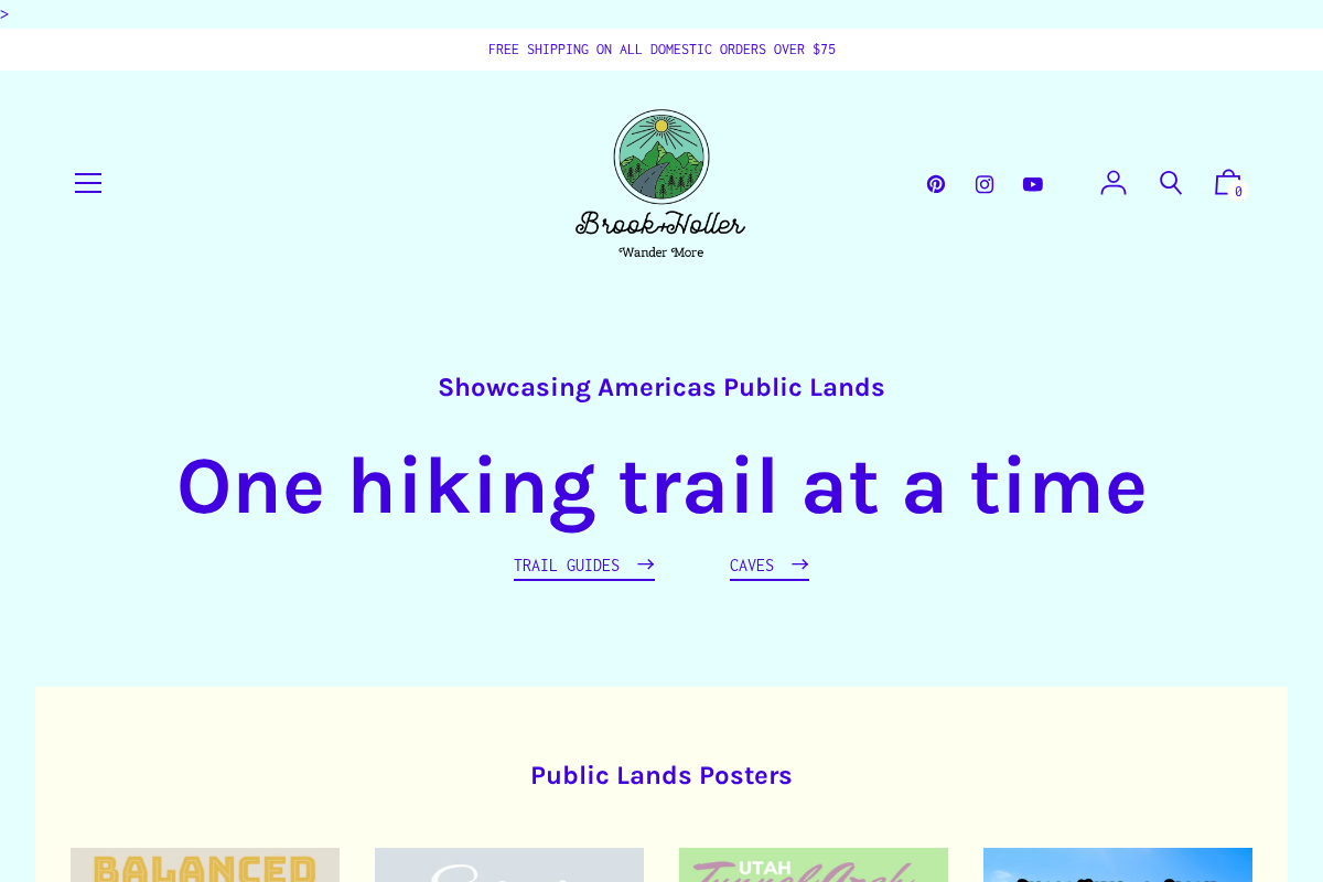 Brook and Holler homepage screenshot