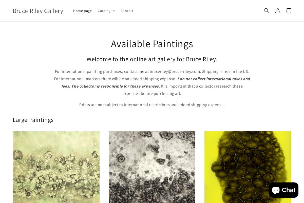 brucerileygallery.com homepage screenshot