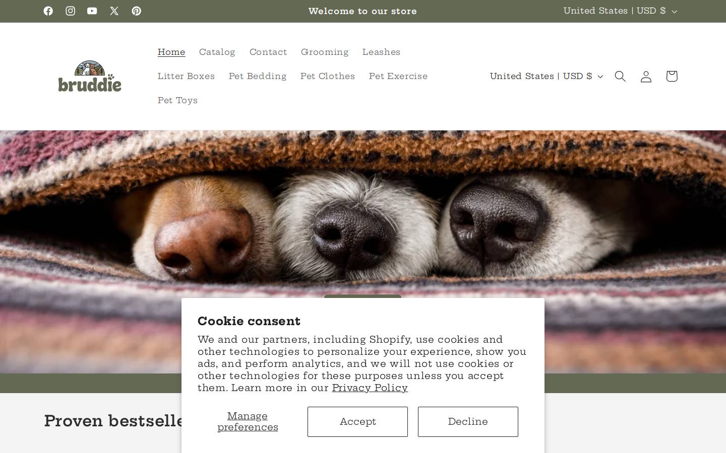 bruddie.com homepage screenshot