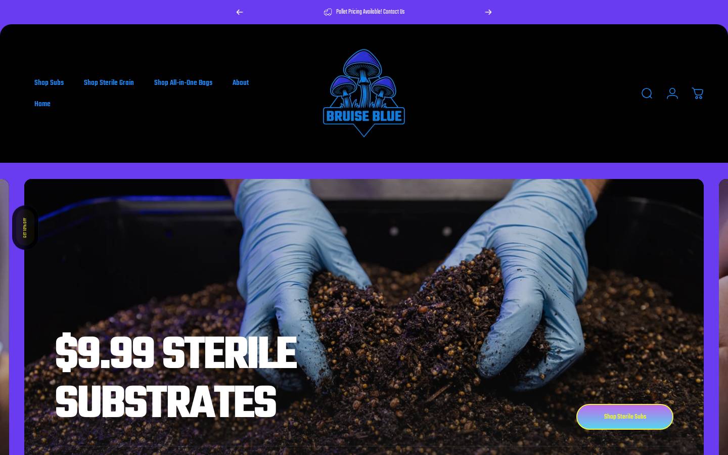 bruiseblue.com homepage screenshot