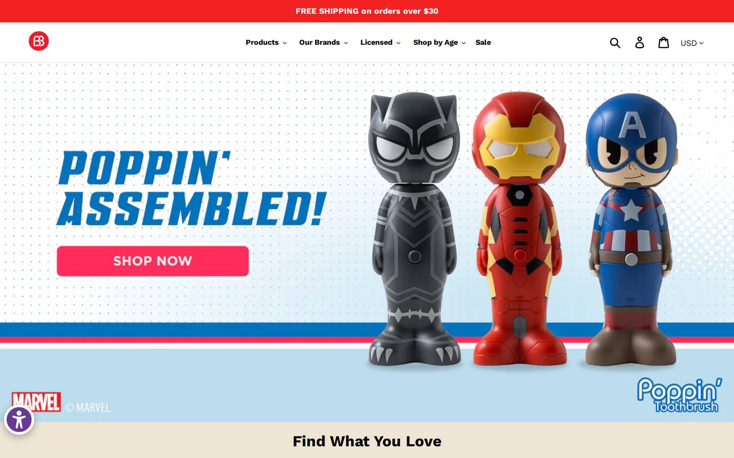 brushbuddies.com homepage screenshot
