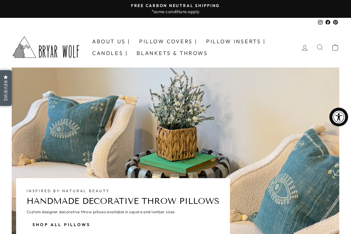 bryarwolf.com homepage screenshot