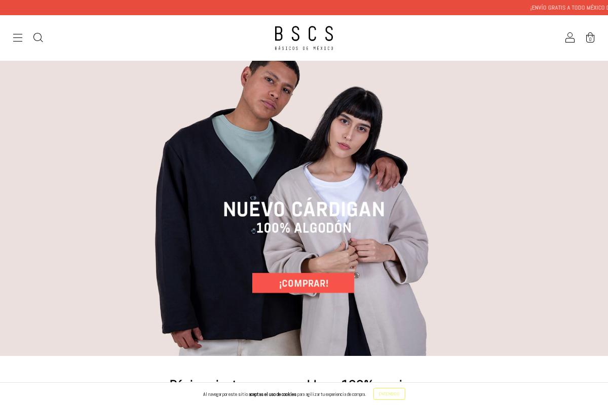 bscs.mx homepage screenshot