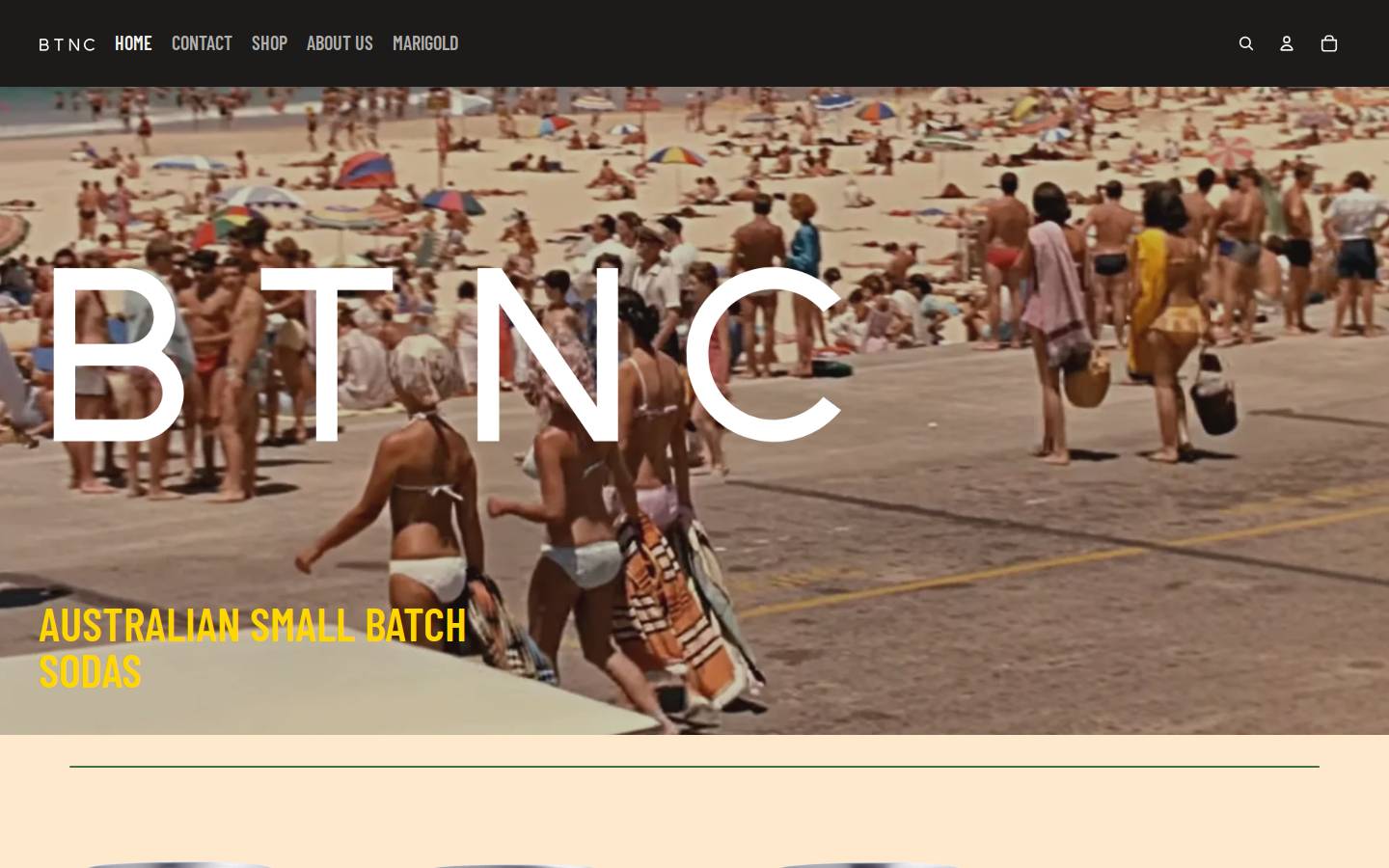 btnc.com.au homepage screenshot