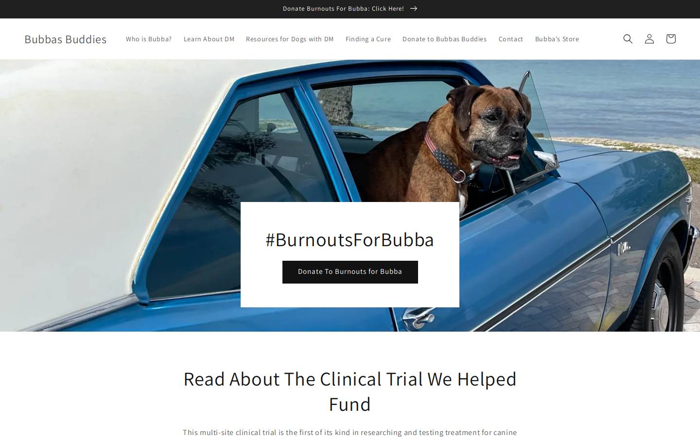 bubbasbuddies.org homepage screenshot