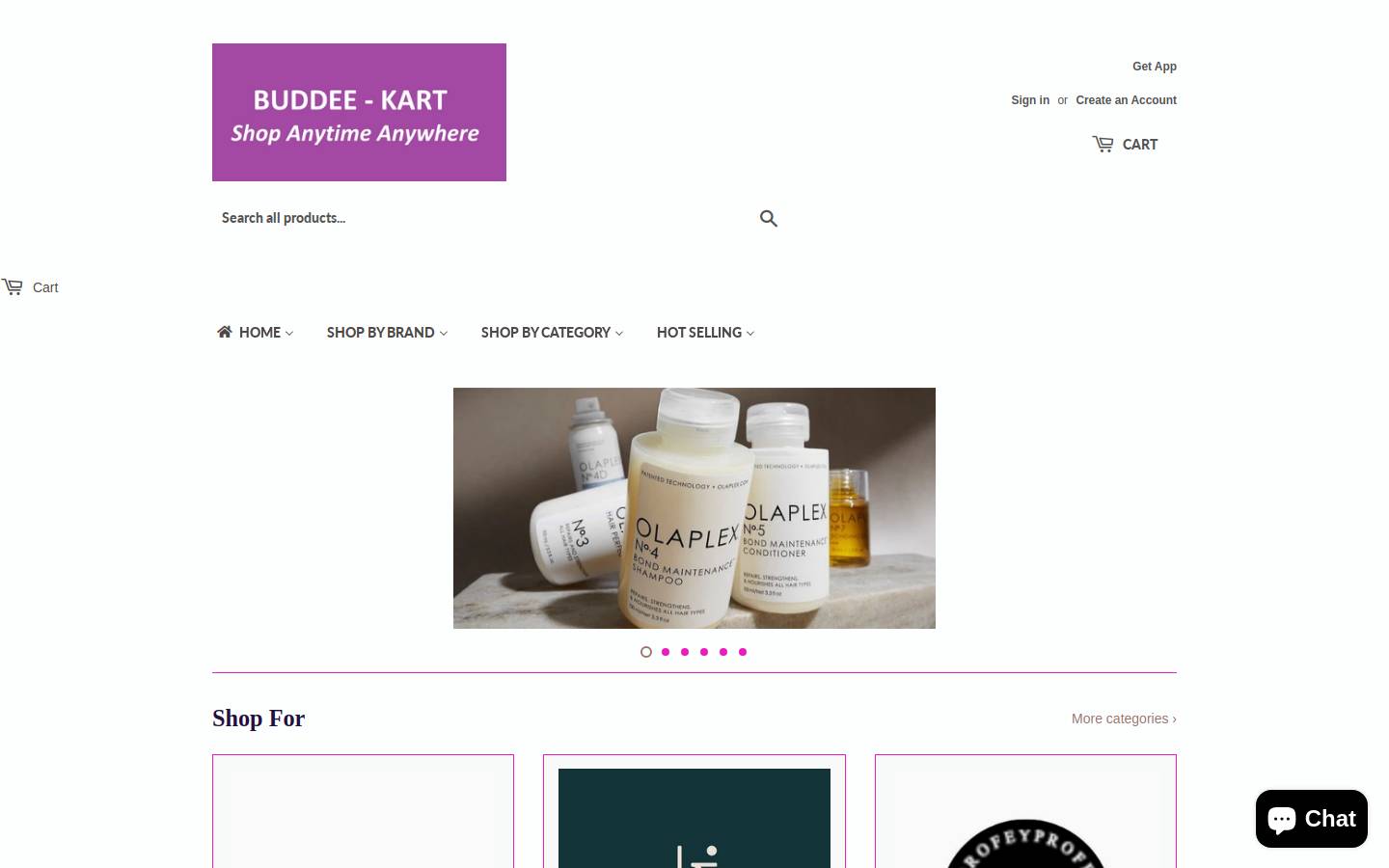 buddeekart.in homepage screenshot