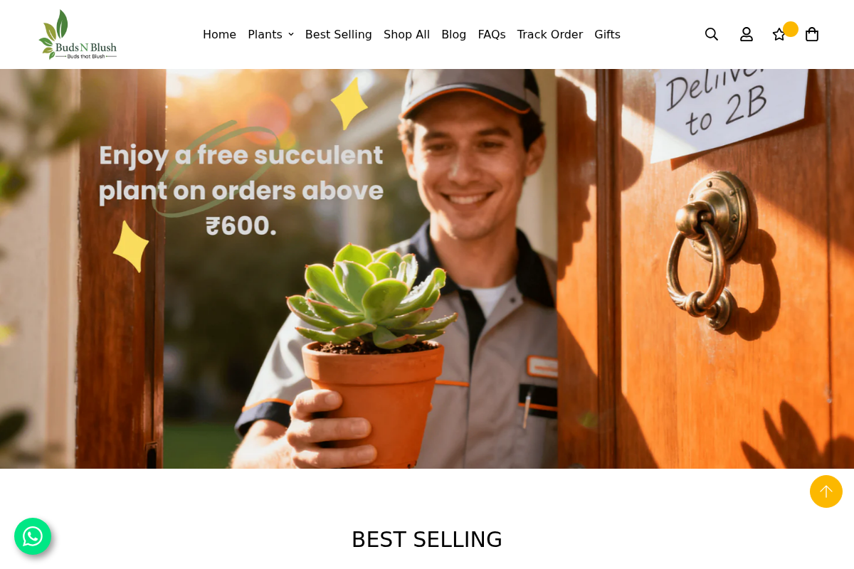 budsblush homepage screenshot