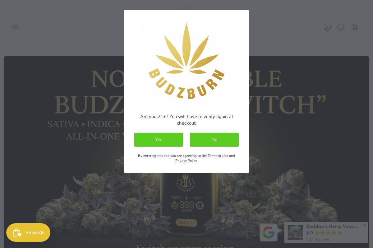Budzburn Inc homepage screenshot