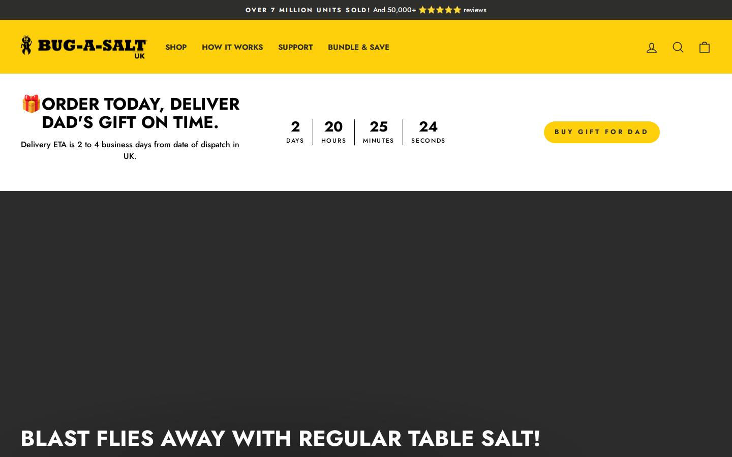 bugasalt.co.uk homepage screenshot