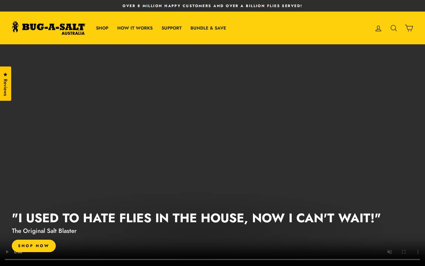 Bug-A-Salt homepage screenshot