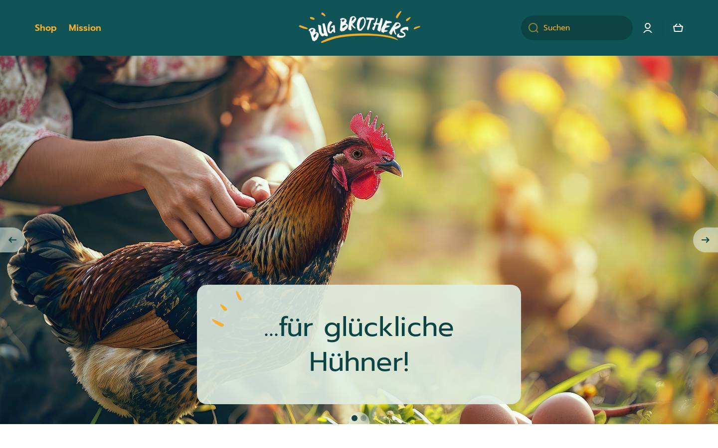 Bug Brothers homepage screenshot