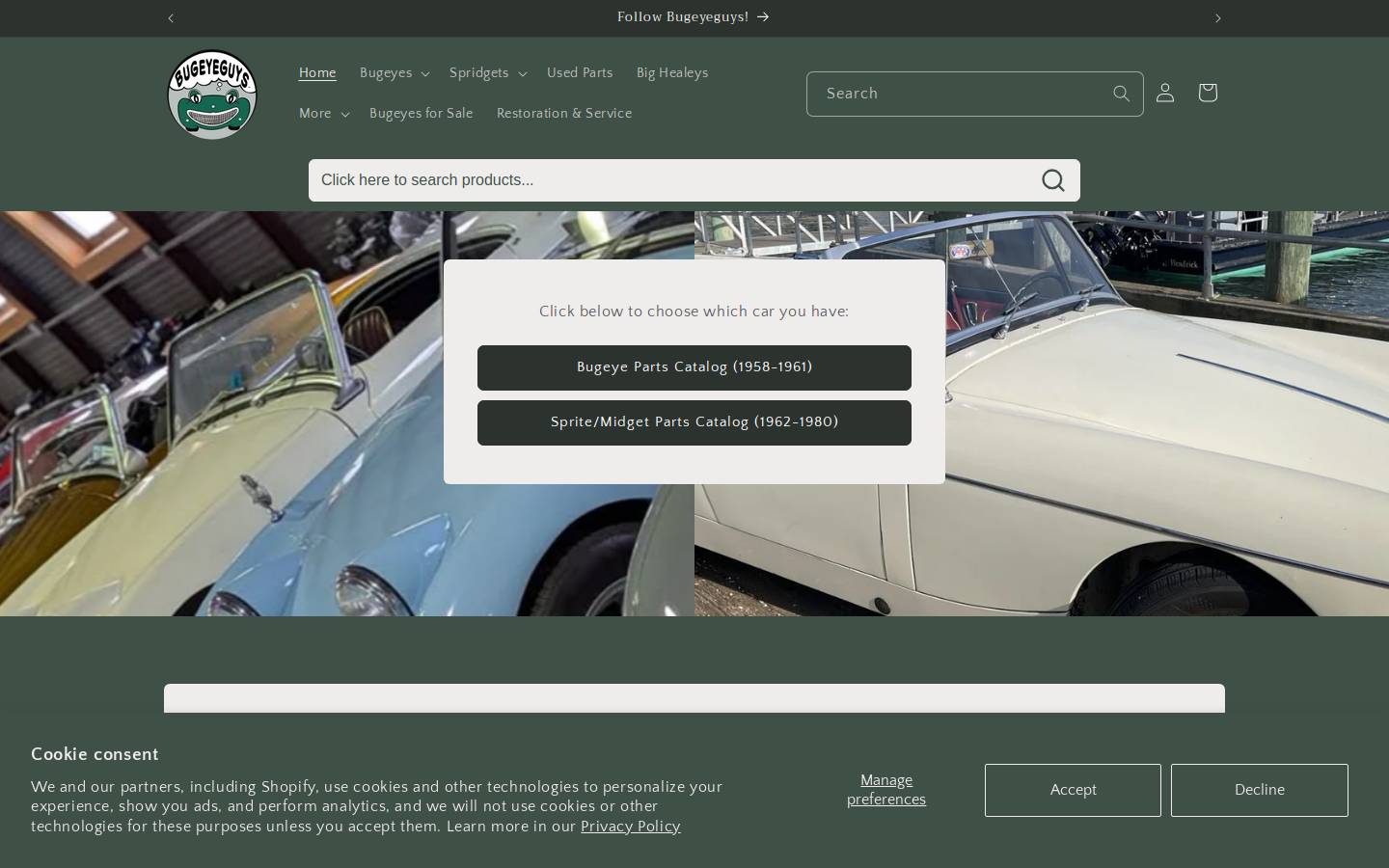 bugeyeguyparts.com homepage screenshot