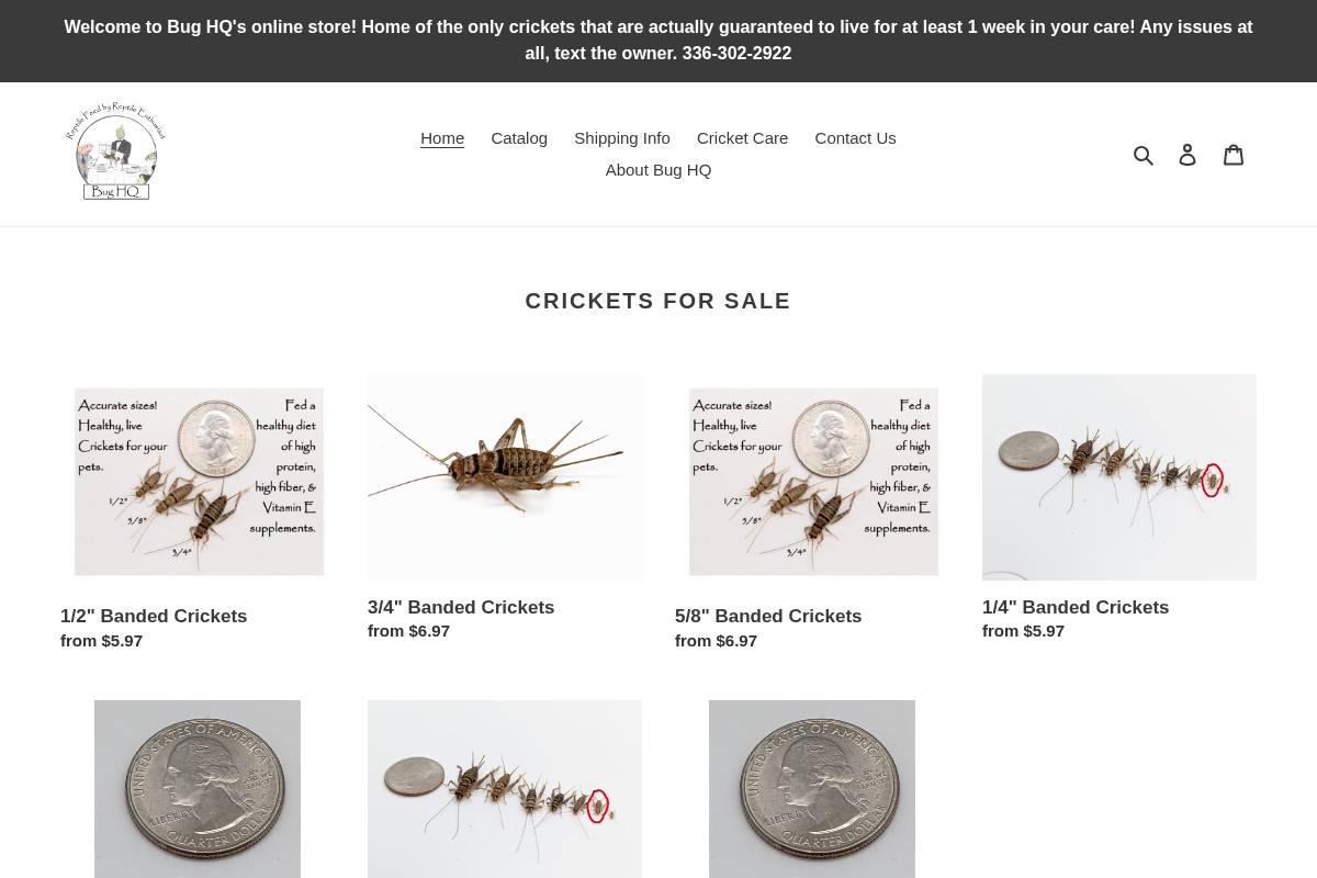 bughq.us homepage screenshot