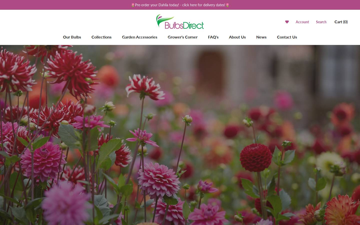 bulbsdirect.co.nz homepage screenshot