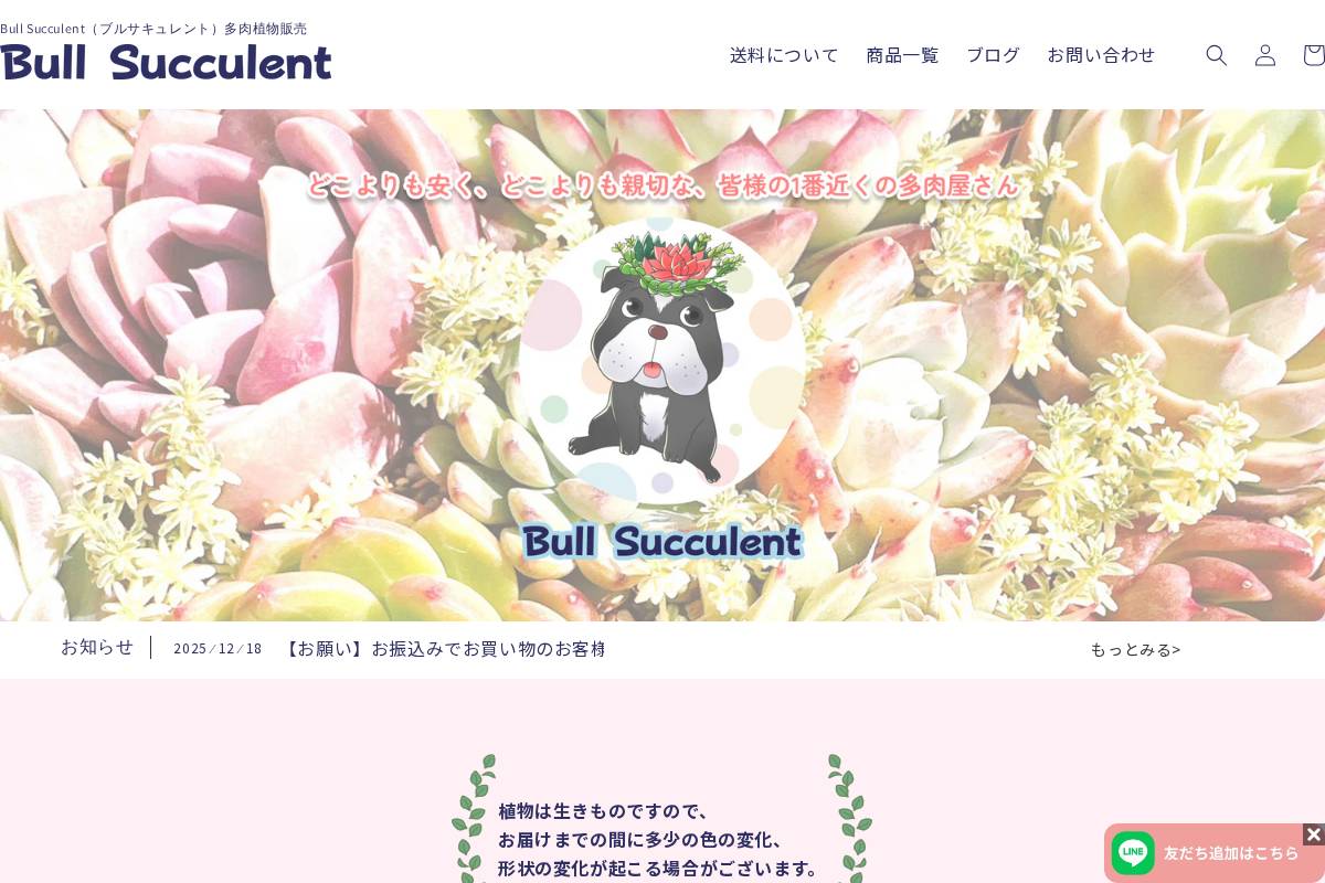 bull-succulent.com homepage screenshot